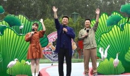 奉新一哥爆料视频最新,揭秘幕后真相，带你走进事件核心