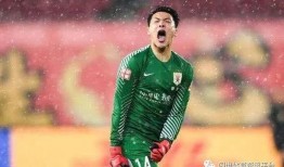 王大雷老婆爆料视频大全,揭秘明星夫妻的甜蜜与争议